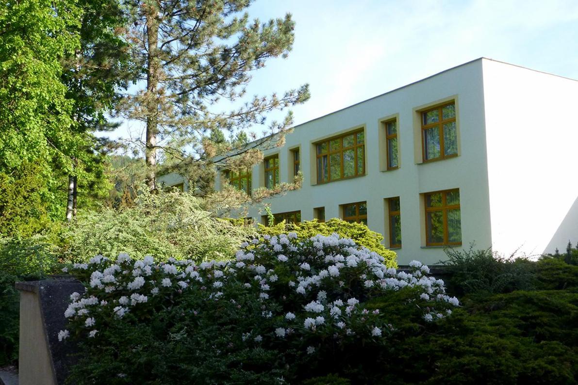Penzion Fit Velké Losiny Exterior foto